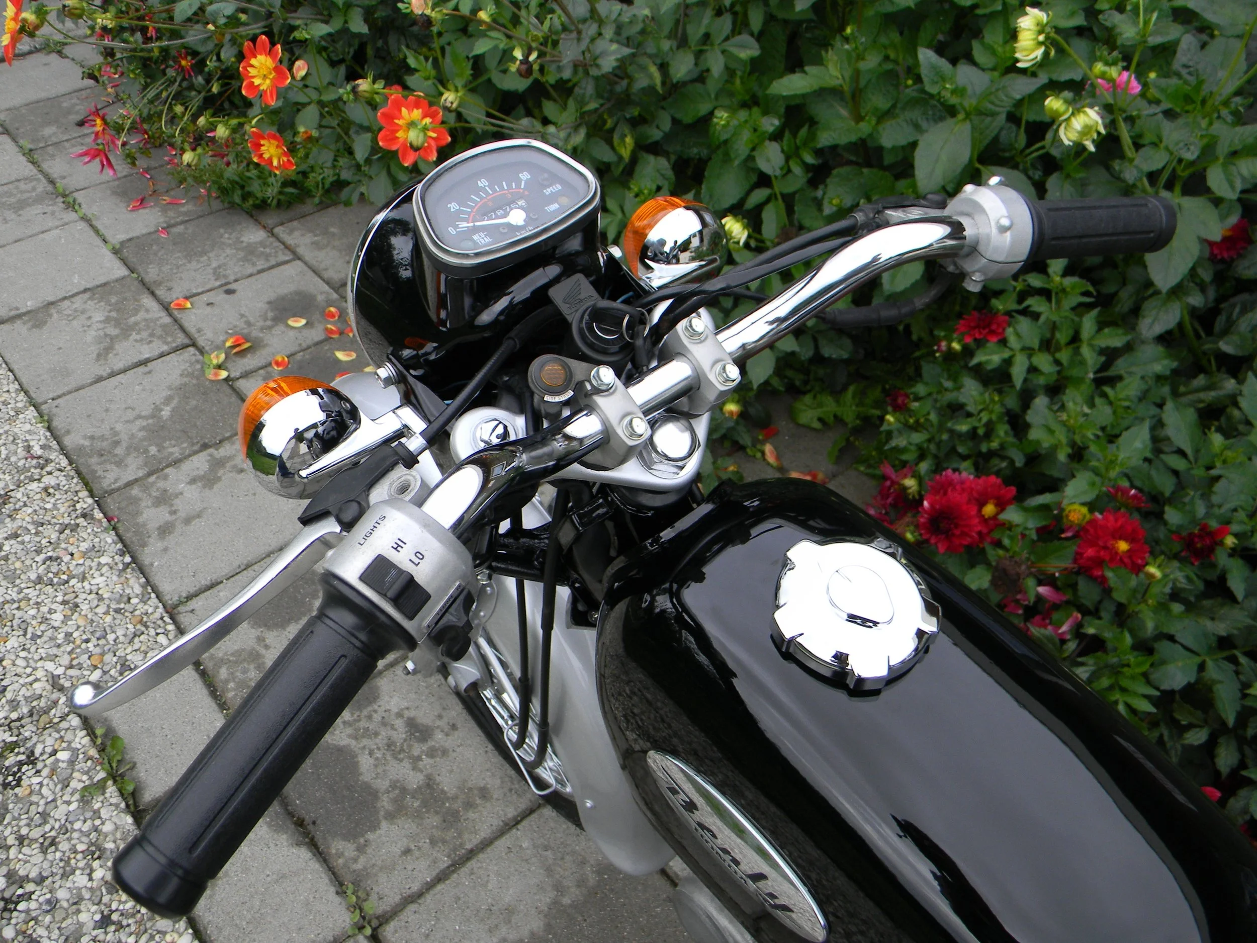 DSCN7117.jpg