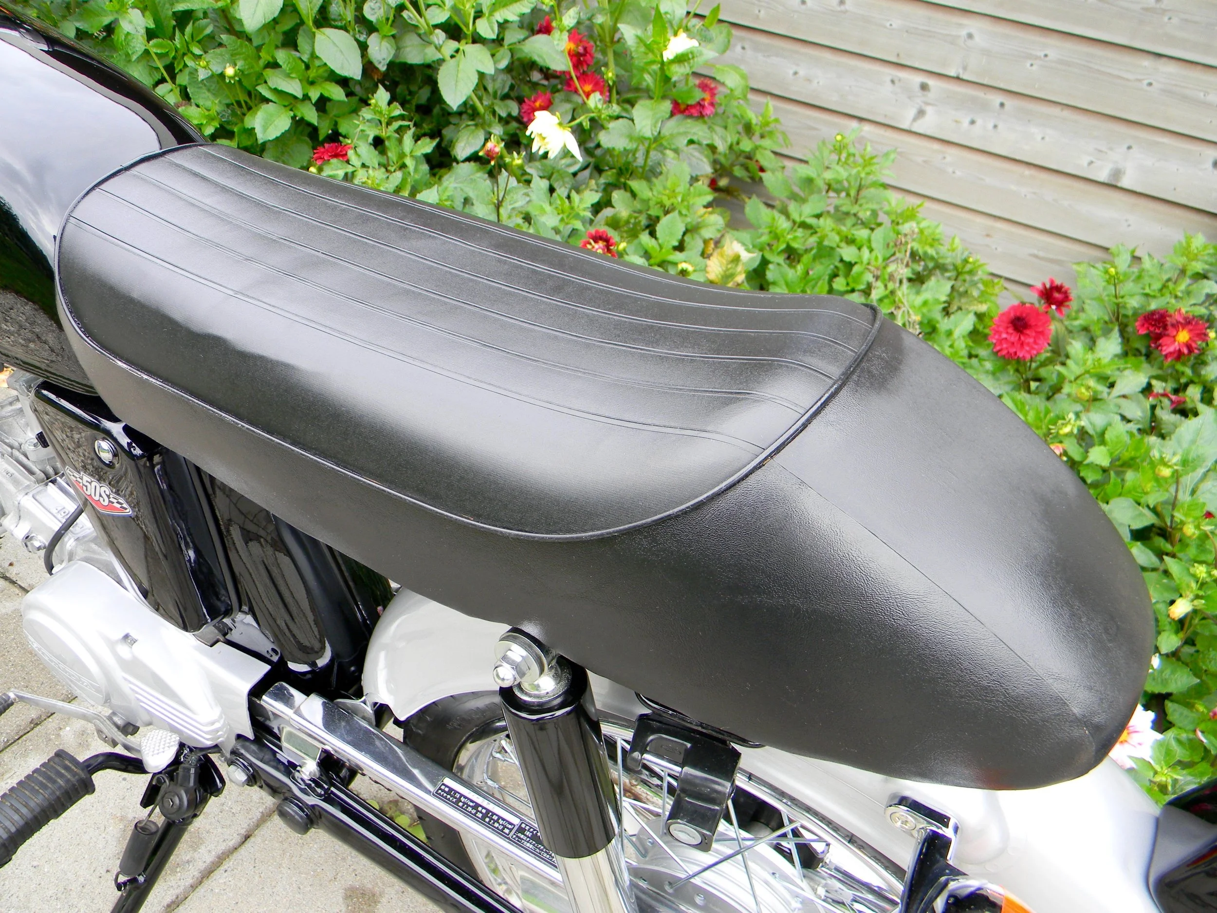 DSCN7110.jpg