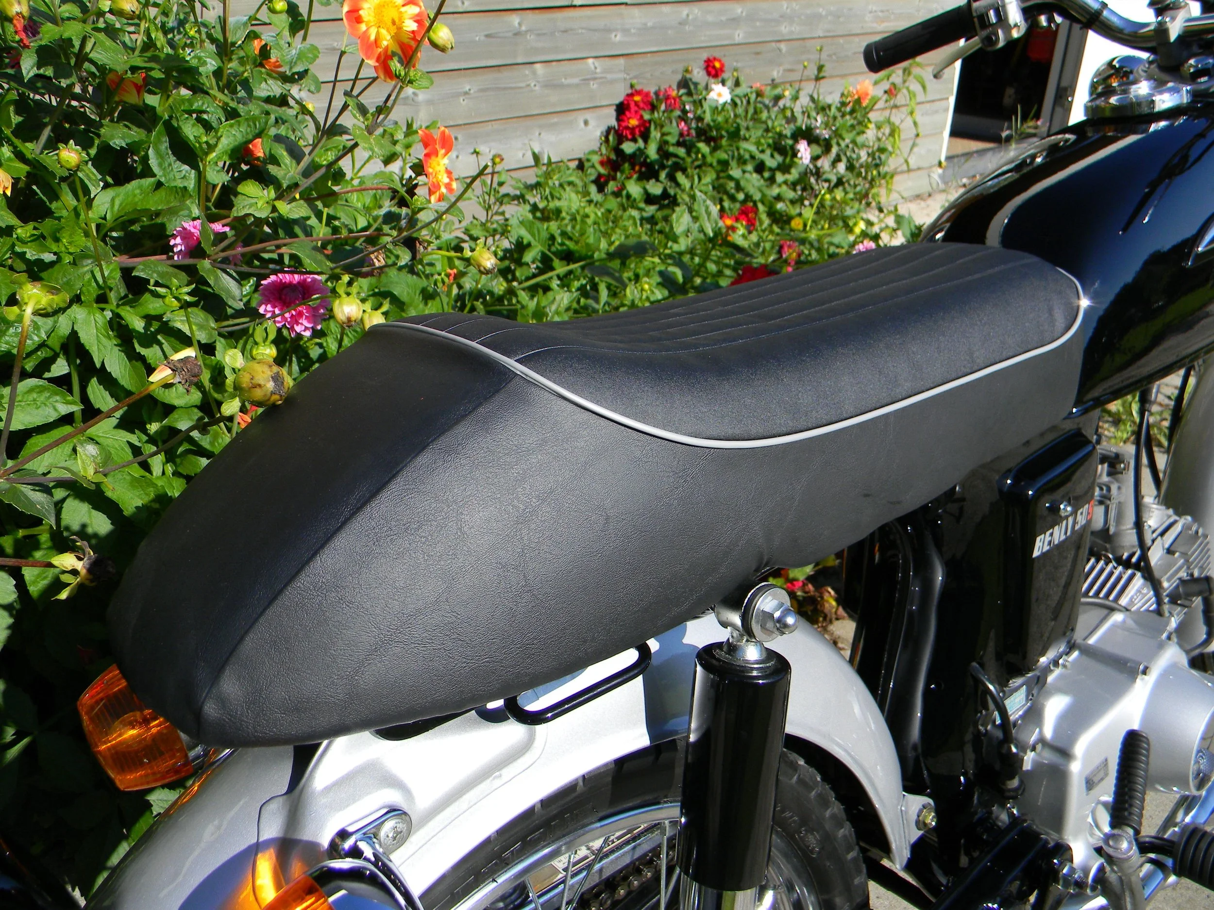 DSCN7172.jpg