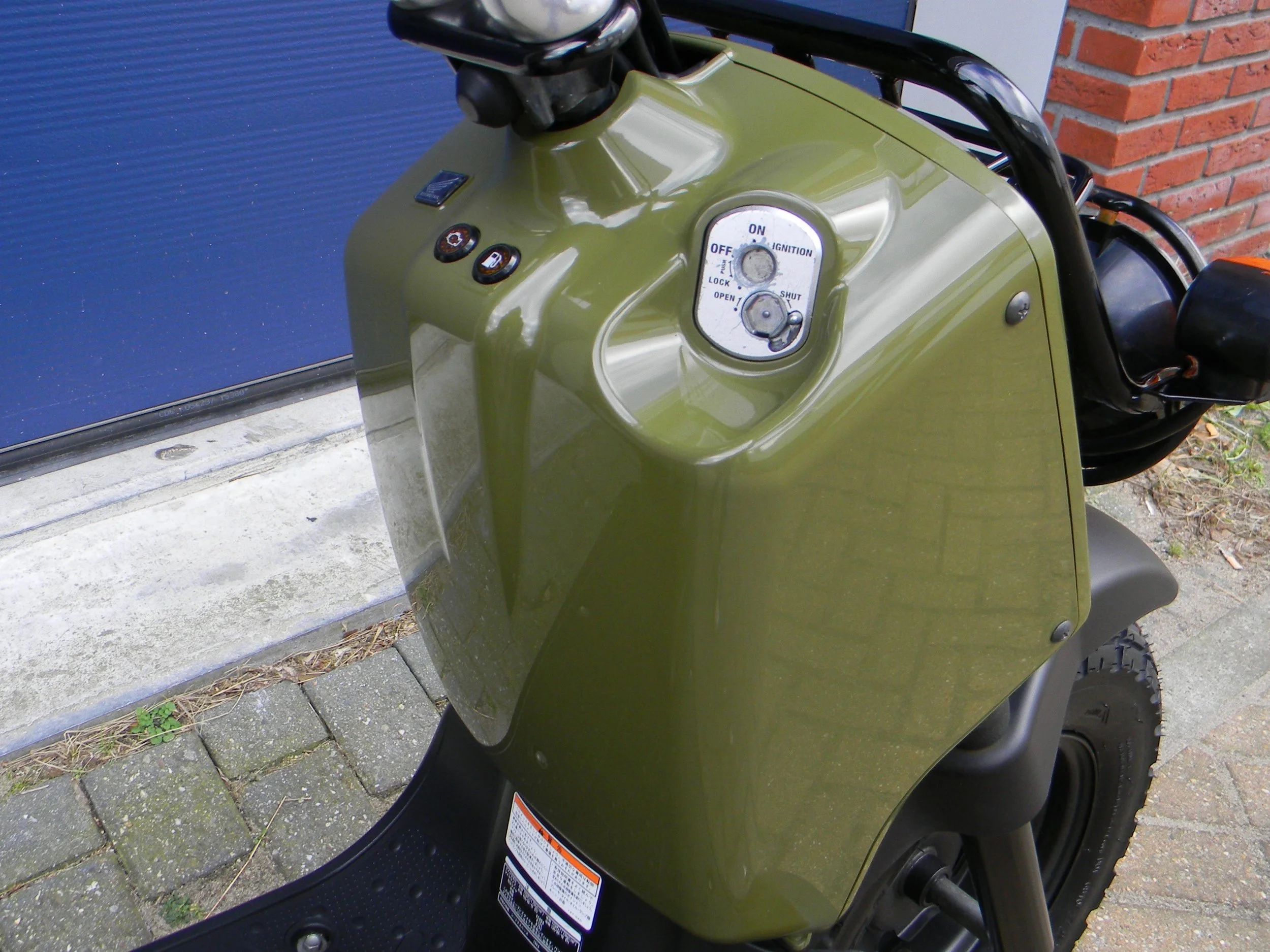 DSCN7284.jpg