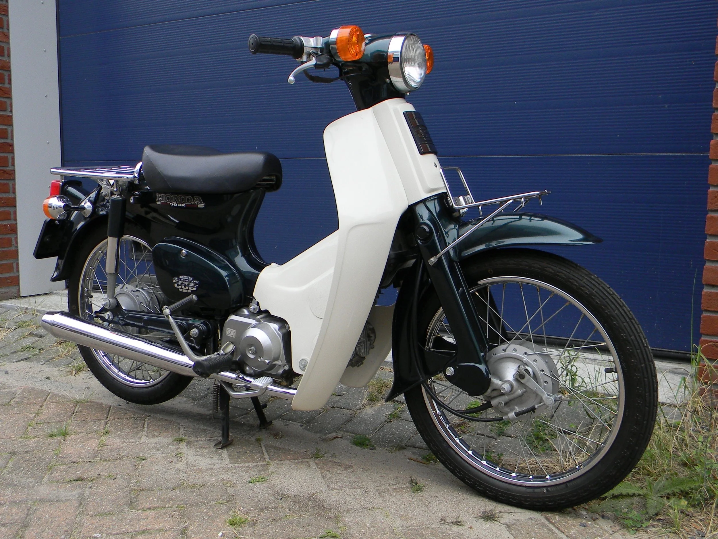 DSCN7683.jpg