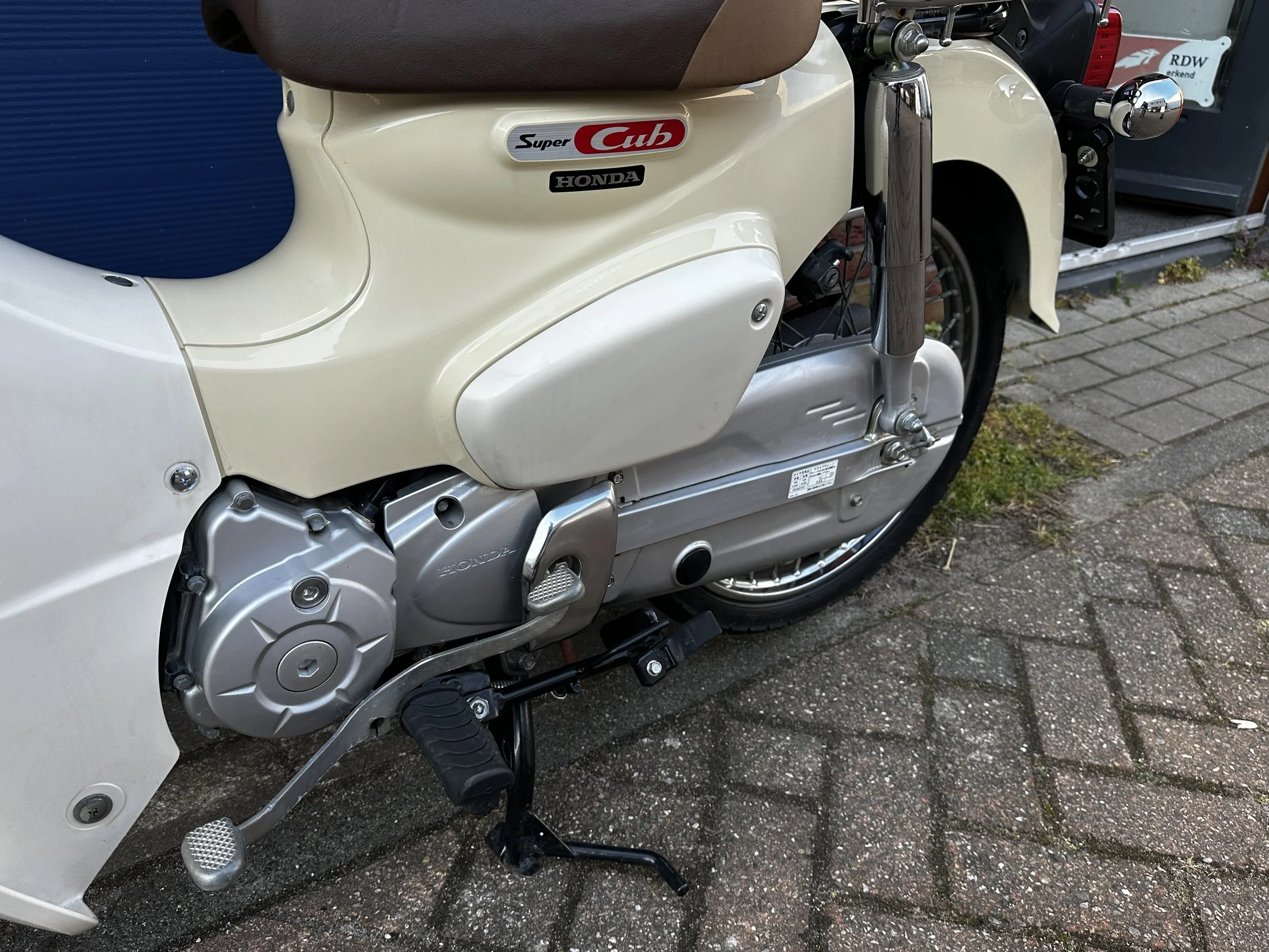 IMG_5079.jpeg