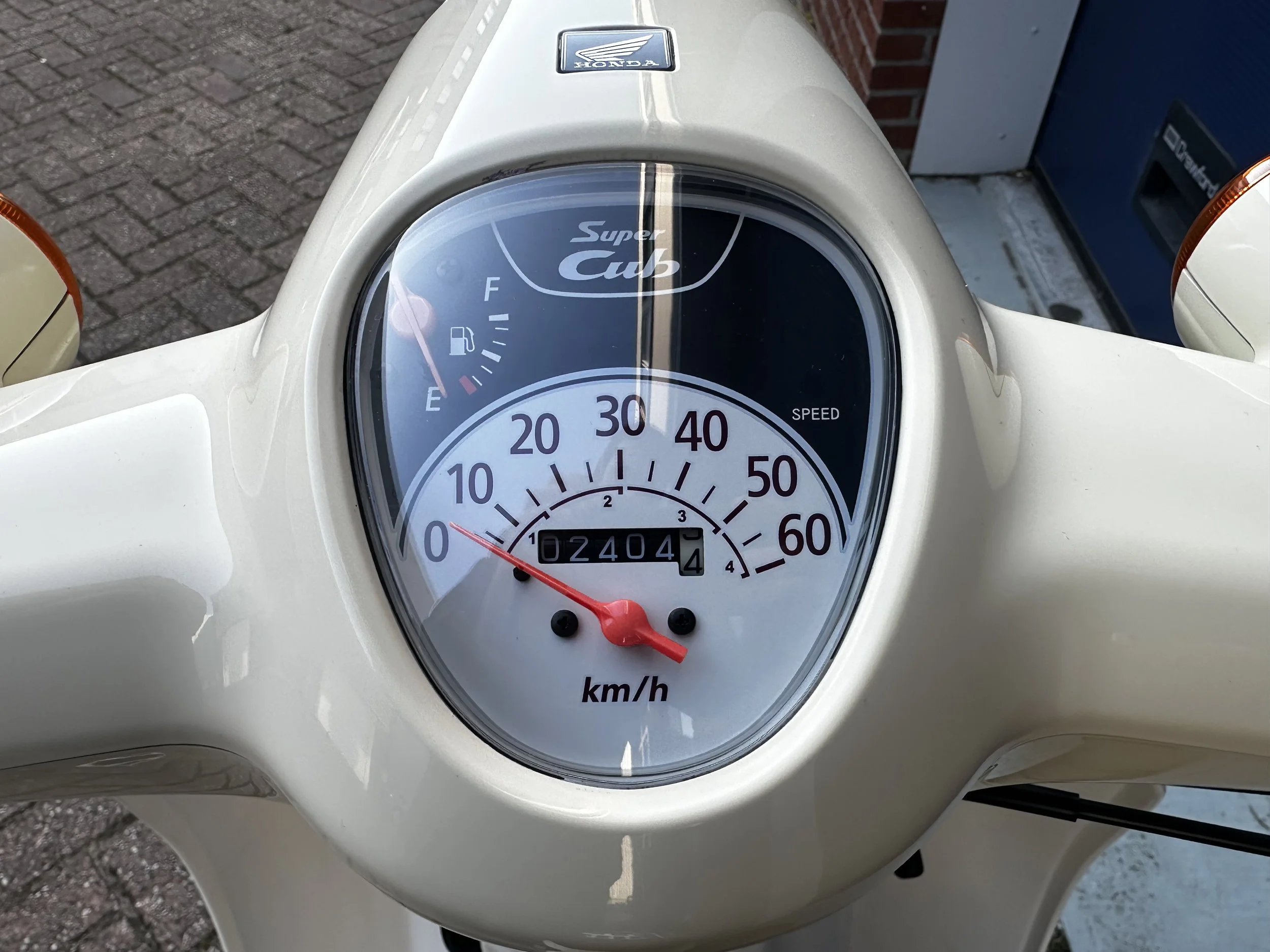 IMG_5082.jpeg