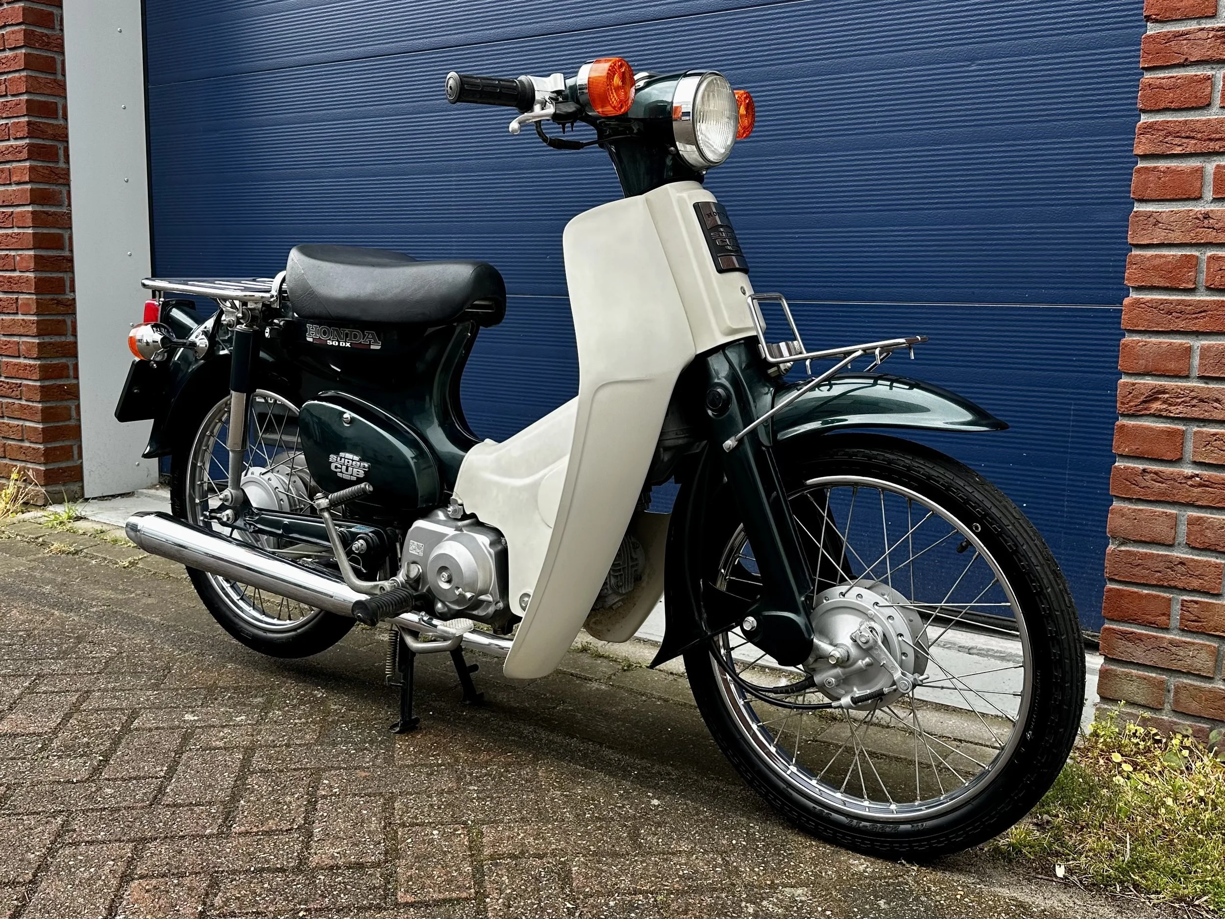 IMG_5474.jpeg