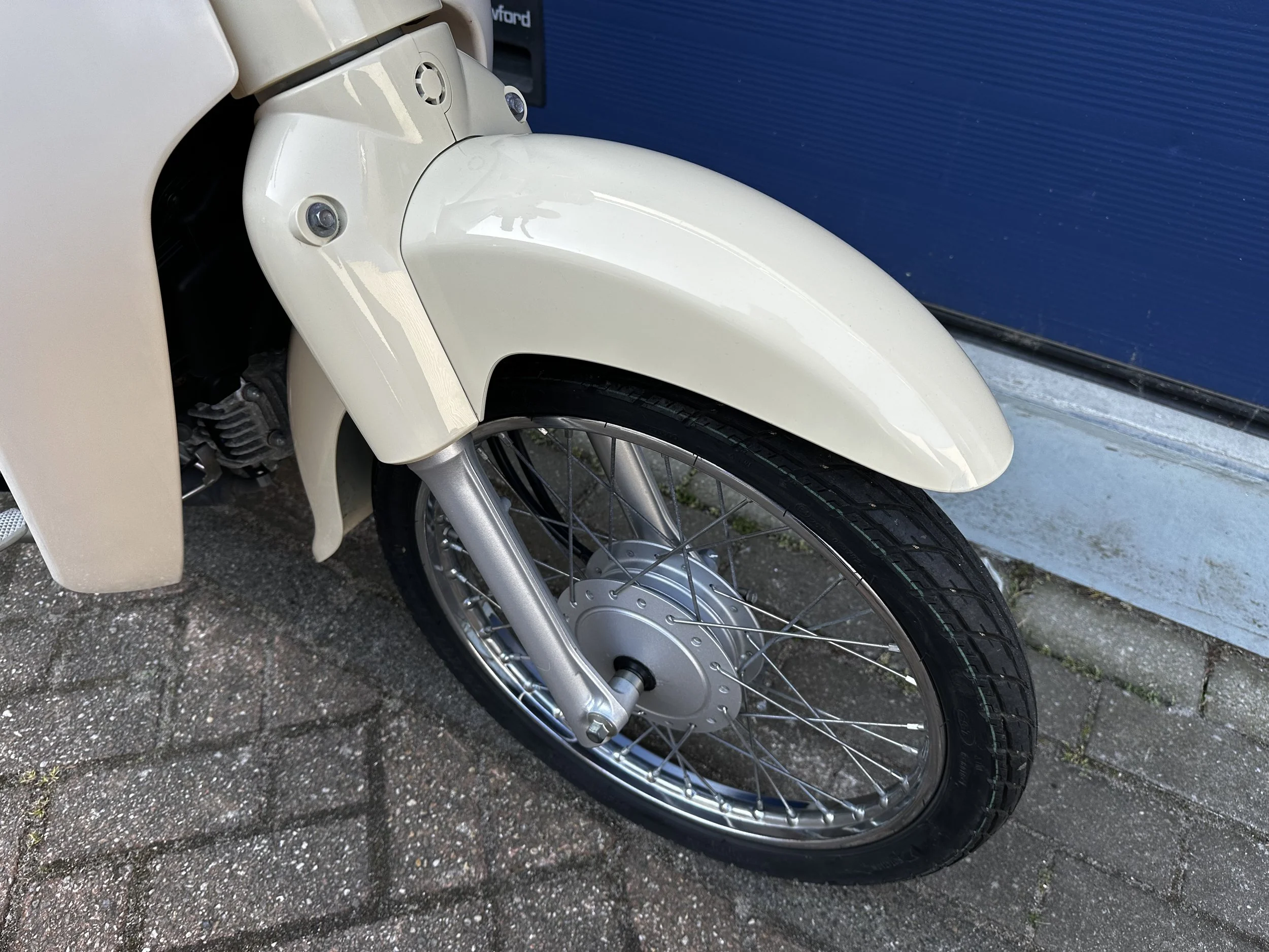 IMG_5095.jpeg