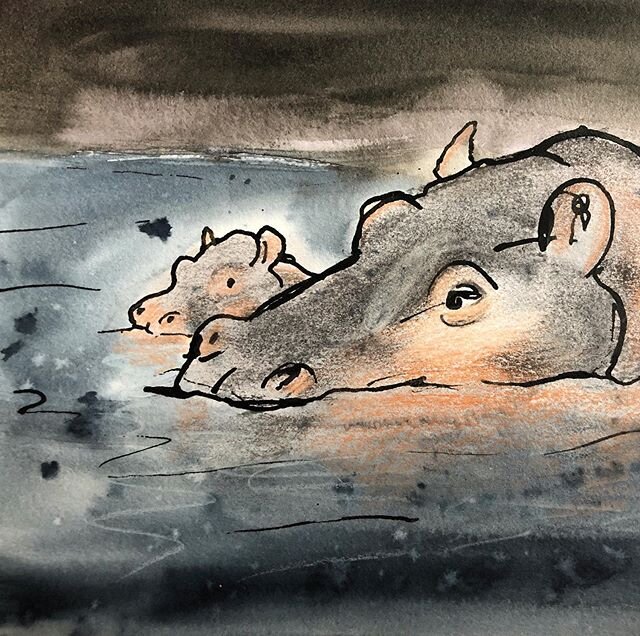 Just fancied drawing some hippos 🦛 .
.
.
 #hipposintherain #bankholiday #lockdown #observationaldrawing #isolationcreation #illustratorsoninstagram