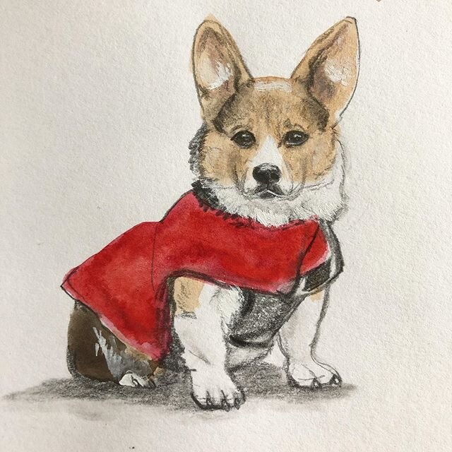 This is a drawing from one of @thedogist posts, gorgeous corgi puppy, not entirely happy with this but I&rsquo;m dreaming of puppies right now. .
#drawingaday #observationaldrawing #isolationcreation #pencildrawing #illustratorsoninstagram