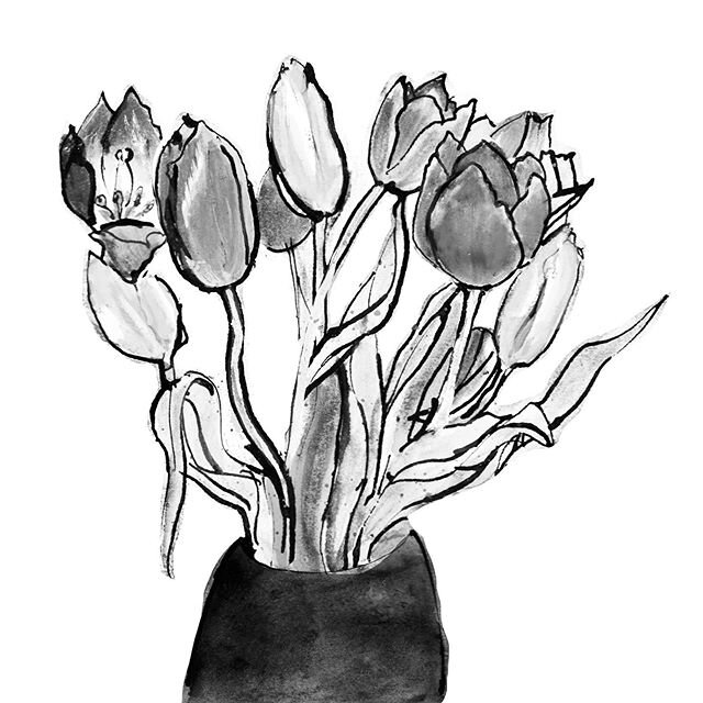 I had a go drawing these tulips just over a week ago... swipe for colour version. One of my favourite flowers, I would like to get better at drawing them! #drawingaday #observationaldrawing #illustratorsoninstagram tulips courtesy of the lovely @robz