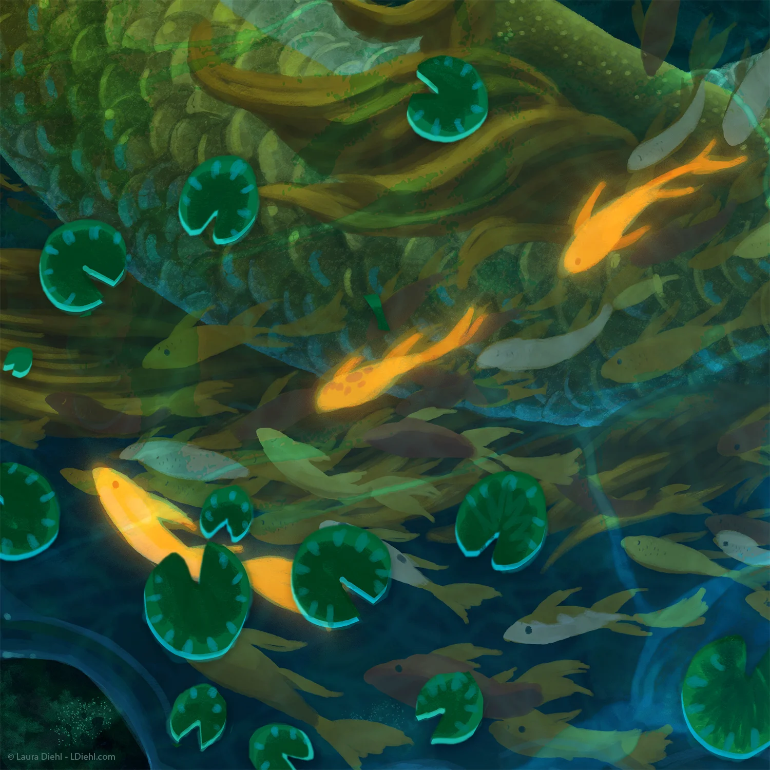 koidragon-c5_ldiehl.jpg