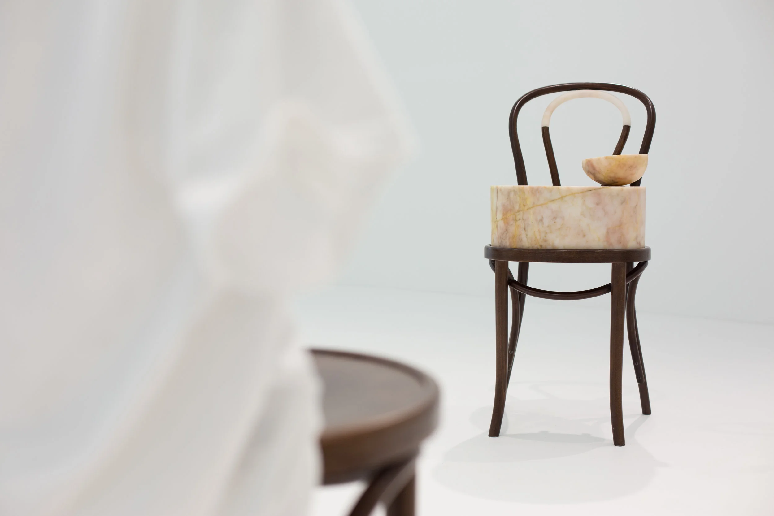 Meno's Paradox 2016 Fameg Bentwood, Wombeyan. 90 x 40 x 54 cm