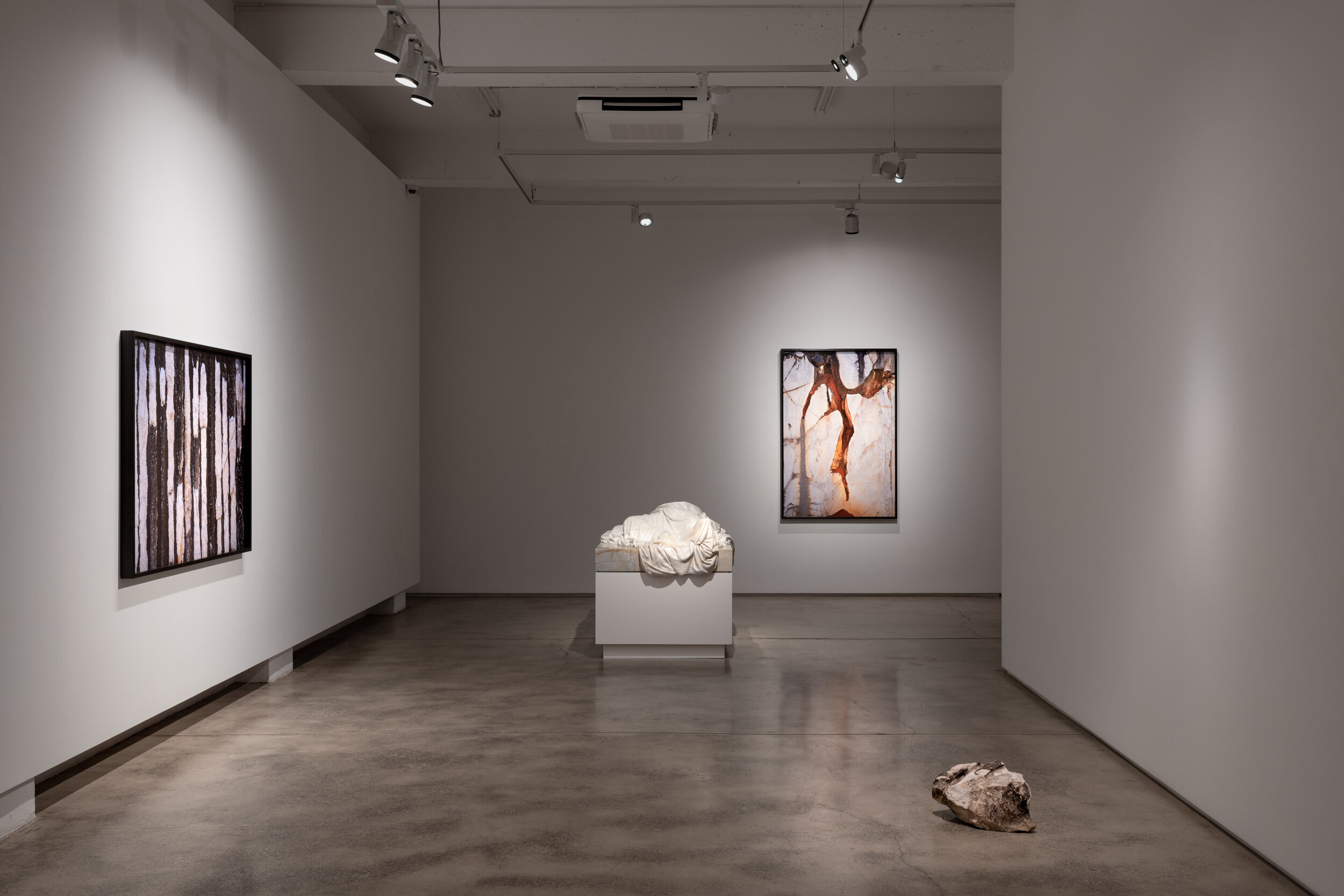  Meet Me Under The Dome, Sullivan+Strumpf, Sydney. 2020  L-R: T he Memory Of Wounds , 2020. Pigment Print On Cotton Rag; 170 X 113 Cm; Edition Of 3 + 2 AP;  A History Of Forgetting , 2020. Pigment Print On Cotton Rag; 170 X 113 Cm; Edition Of 3 + 2 A