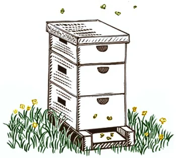 drawing_hive.jpg
