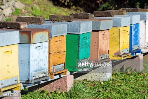 TUR 45th Apimondia International Apicultural Congress 2017