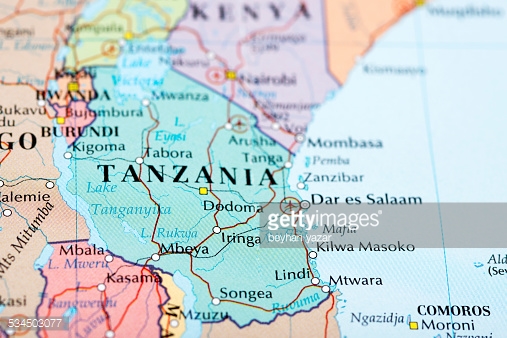 Tanzania 1st Apimondia Symposium on African Bees and Beekeeping