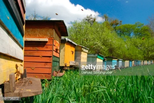 SVK Beekeeper Agricultural Equipment and Bee-Products Exhibition