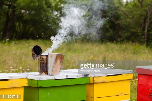 ROU Beekeeping Fair VII edition 