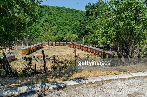 BGR APICULTURE – PLEVEN 2016