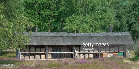 DEU Apisticustag Münster
