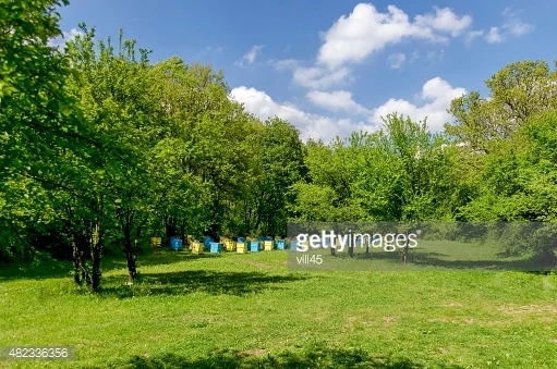 BGR Api Bulgaria International Beekeeping Exhibition