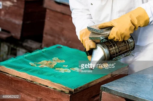 HRV International sales exhibition of beekeeping equipment