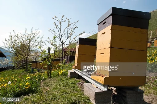HUN Hungarian national meeting of beekeepers and beekeeping fair