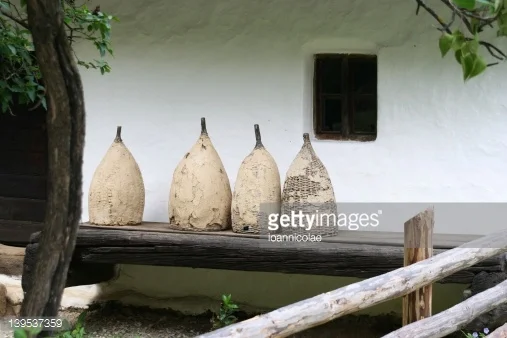 ROU Fair for a Healthy Future