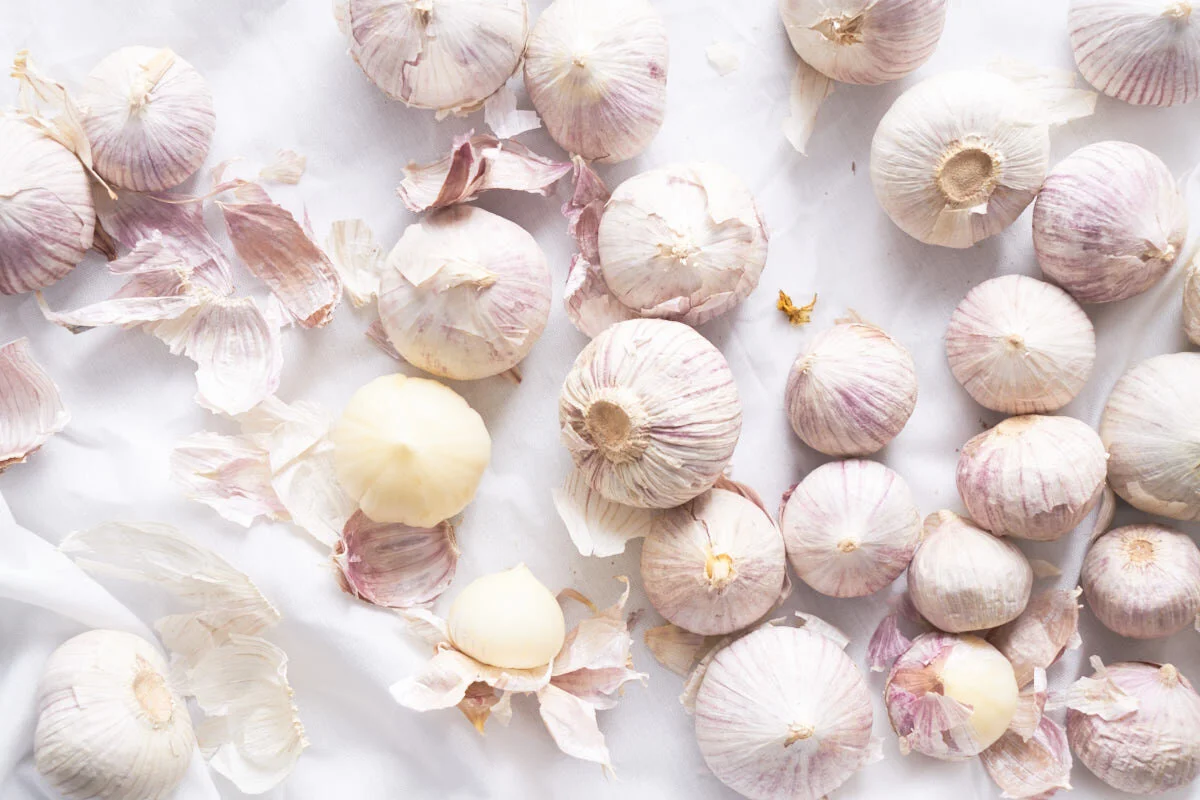 Garlic0270.jpg