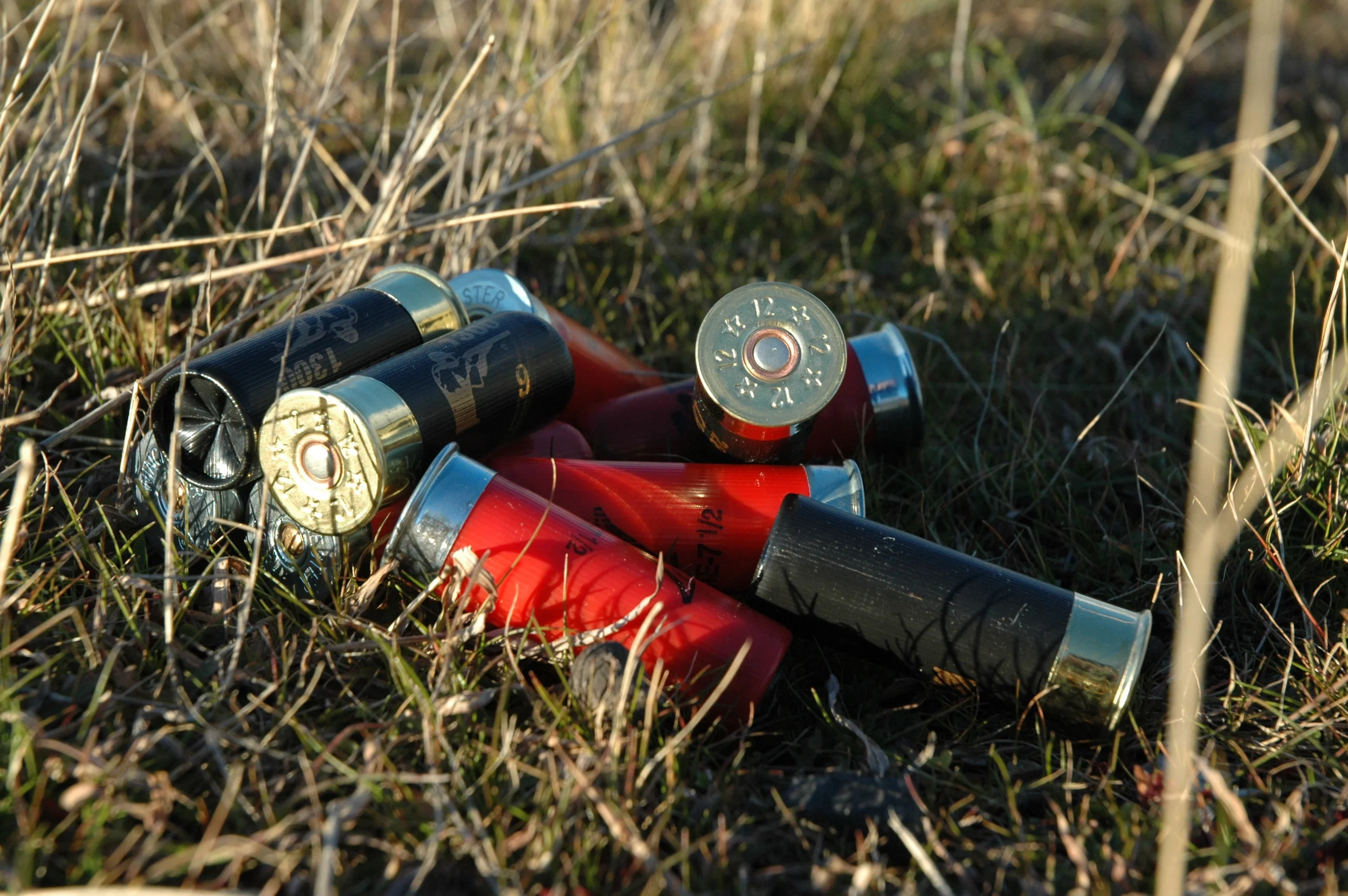 Christmas Shoot 2014..........