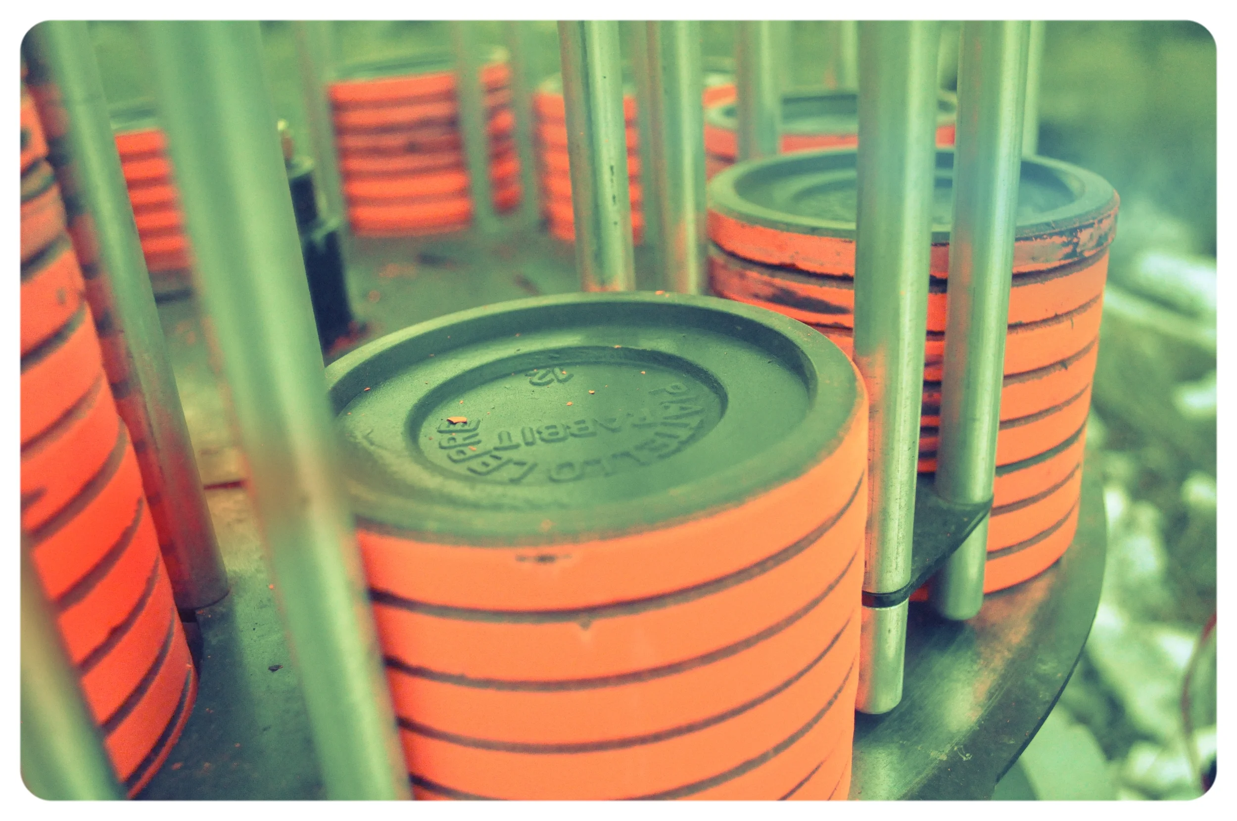 Those bloody rabbits.........