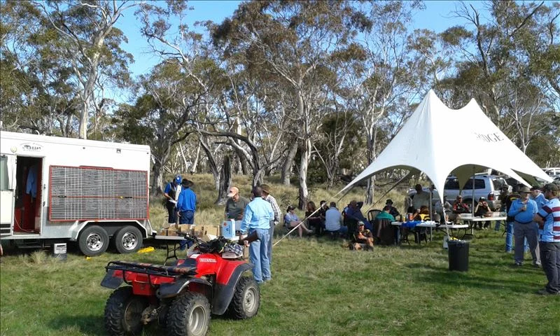 October's Big Weekend