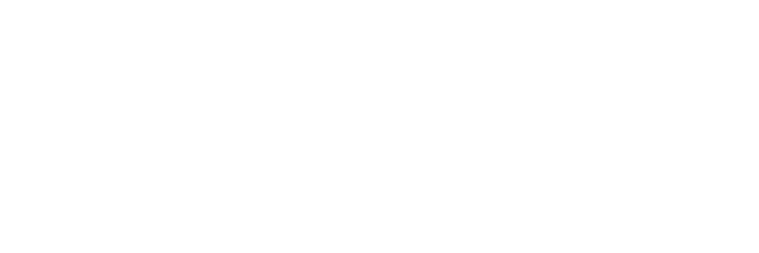 Become an adaptive leader