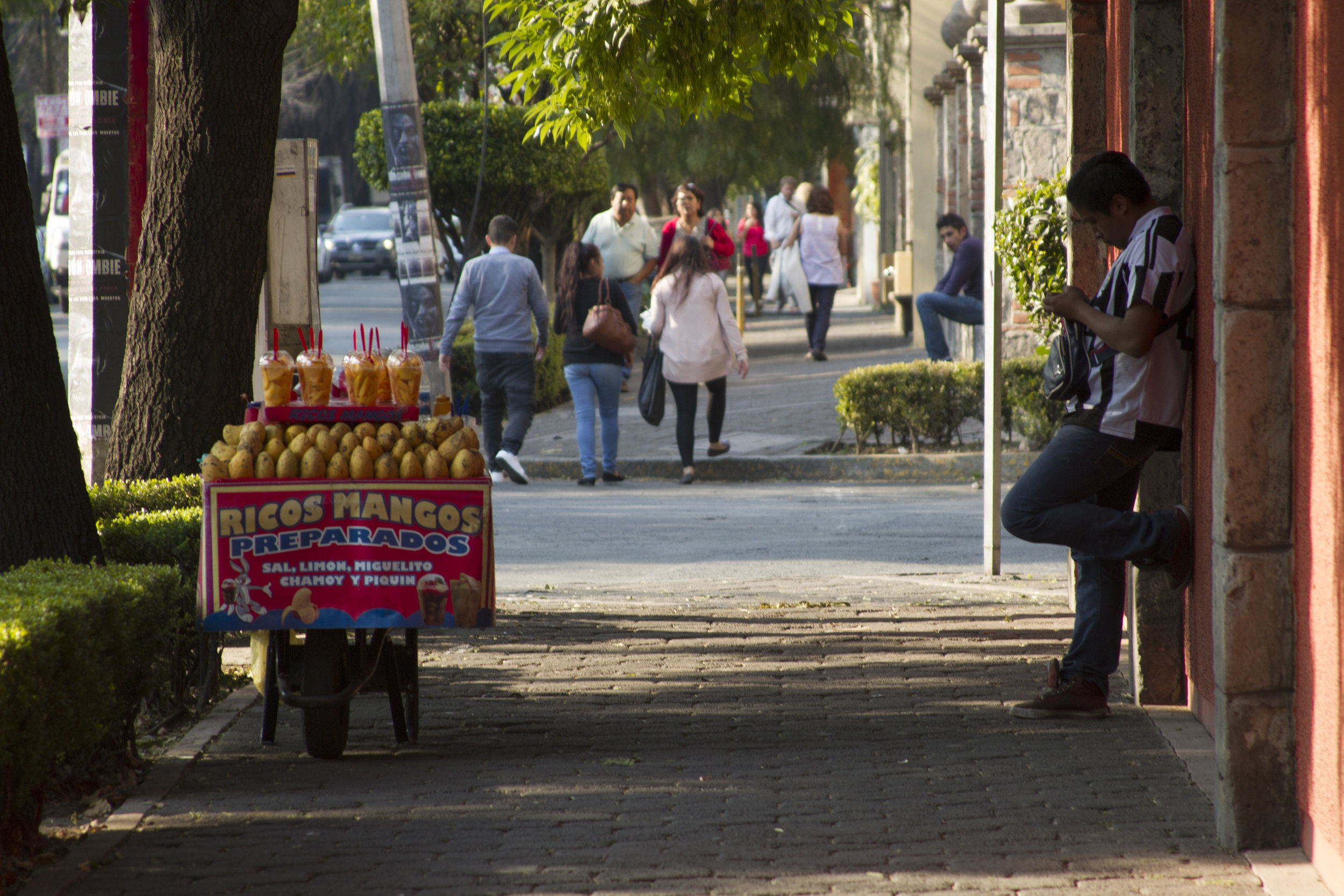 Coyoacán