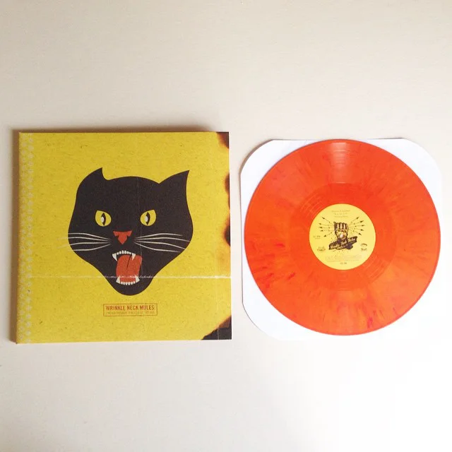 vinylpic.jpg