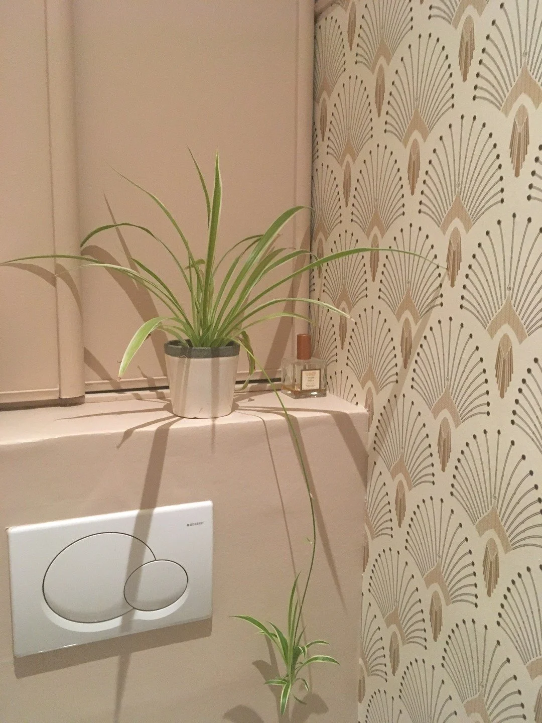 deco-toilette-wc-papier-peint-archi-interieur-design-paris.jpg