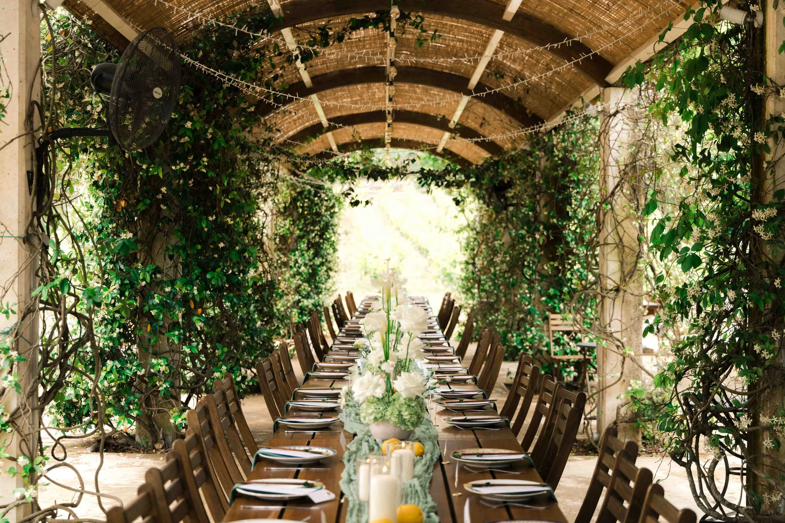 Long wooden dining table set for a meal in a lush, vine-covered outdoor patio with arched roof and string lights, decorated with white flowers and candles.