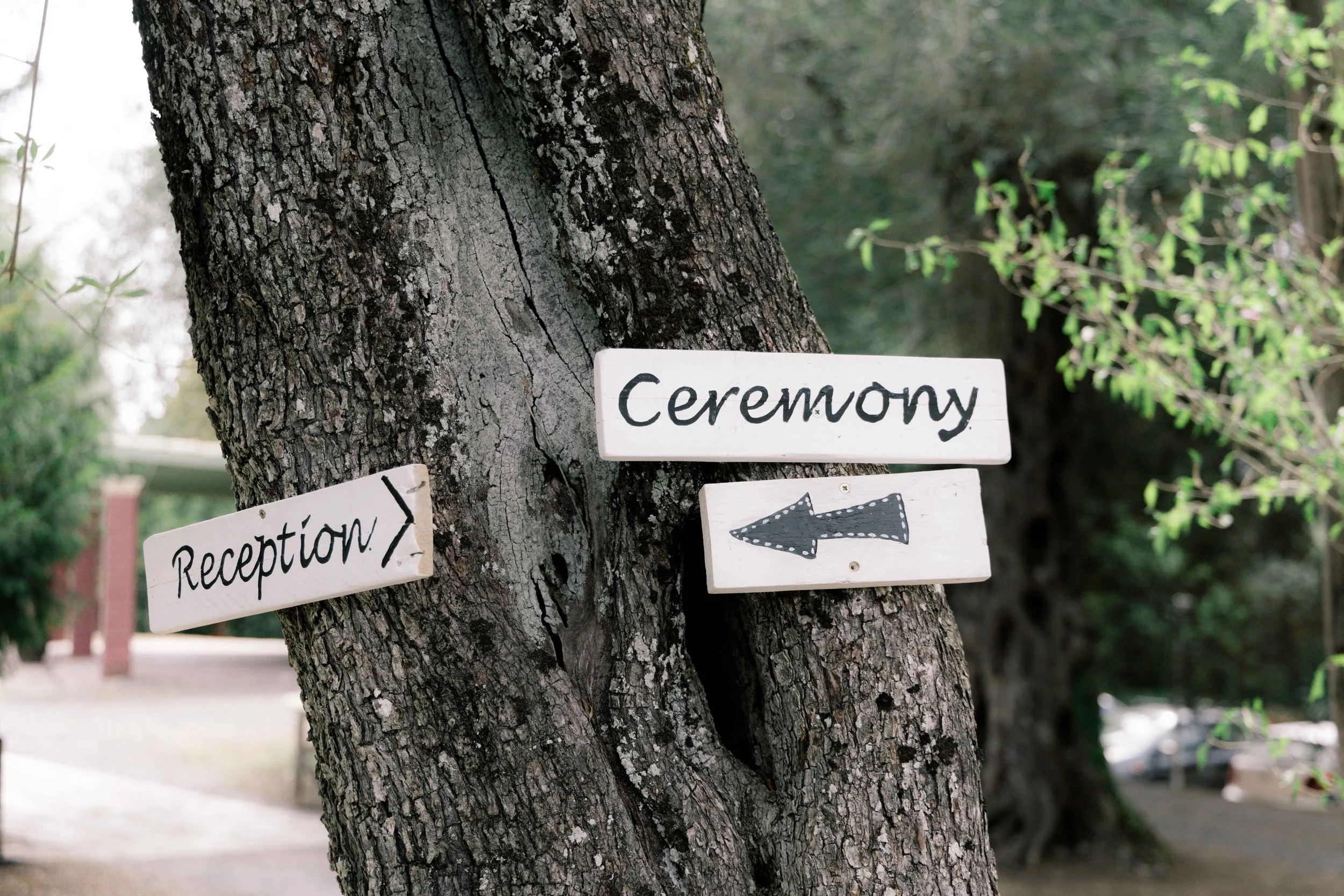 Wooden signs attached to a tree, with the signs reading 'Reception' and 'Ceremony' with a left-pointing arrow.