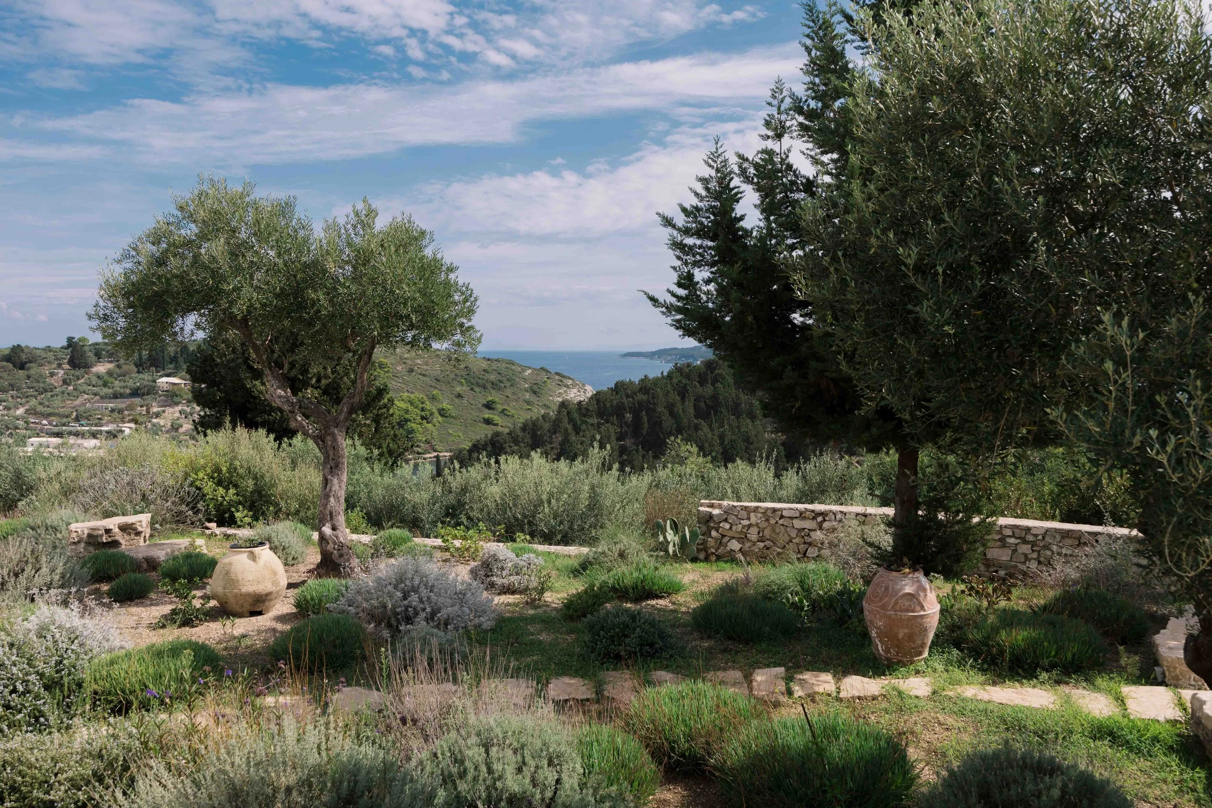 A scenic view of a garden with two olive trees, various shrubs, and large clay pots, overlooking a hilly landscape and the ocean in the distance under blue skies with scattered clouds.