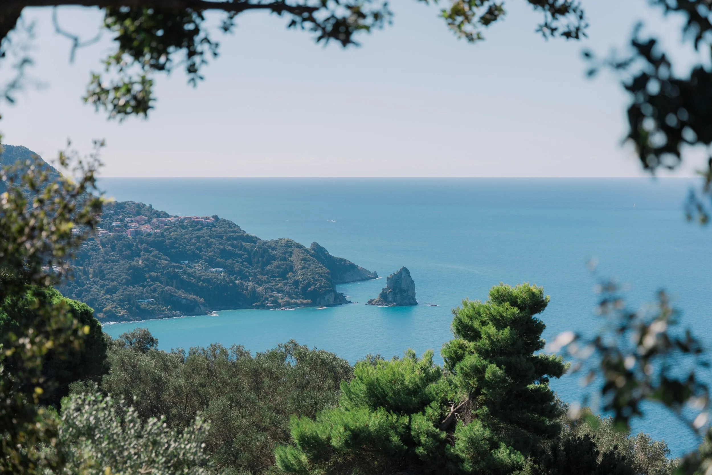 A coastal view of the ocean with green trees in the foreground and a rocky island or cliffs on the coastline in the background.