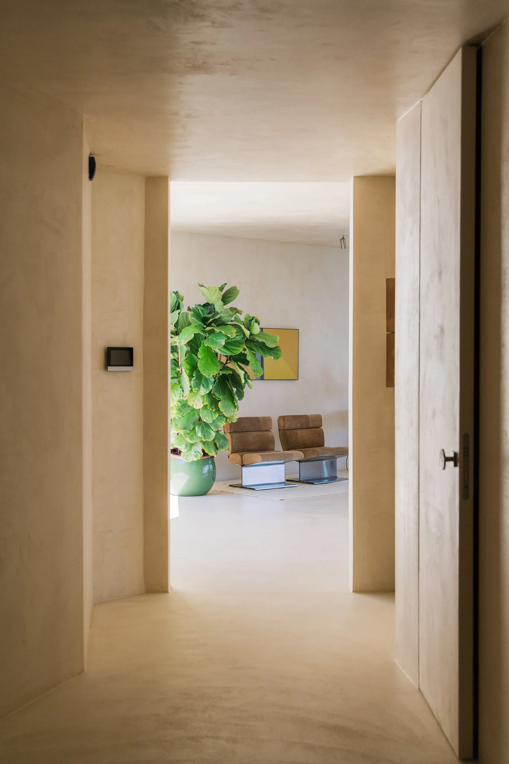 Looking through a hallway into a room with two brown chairs, large green potted plant, and yellow artwork on the wall.