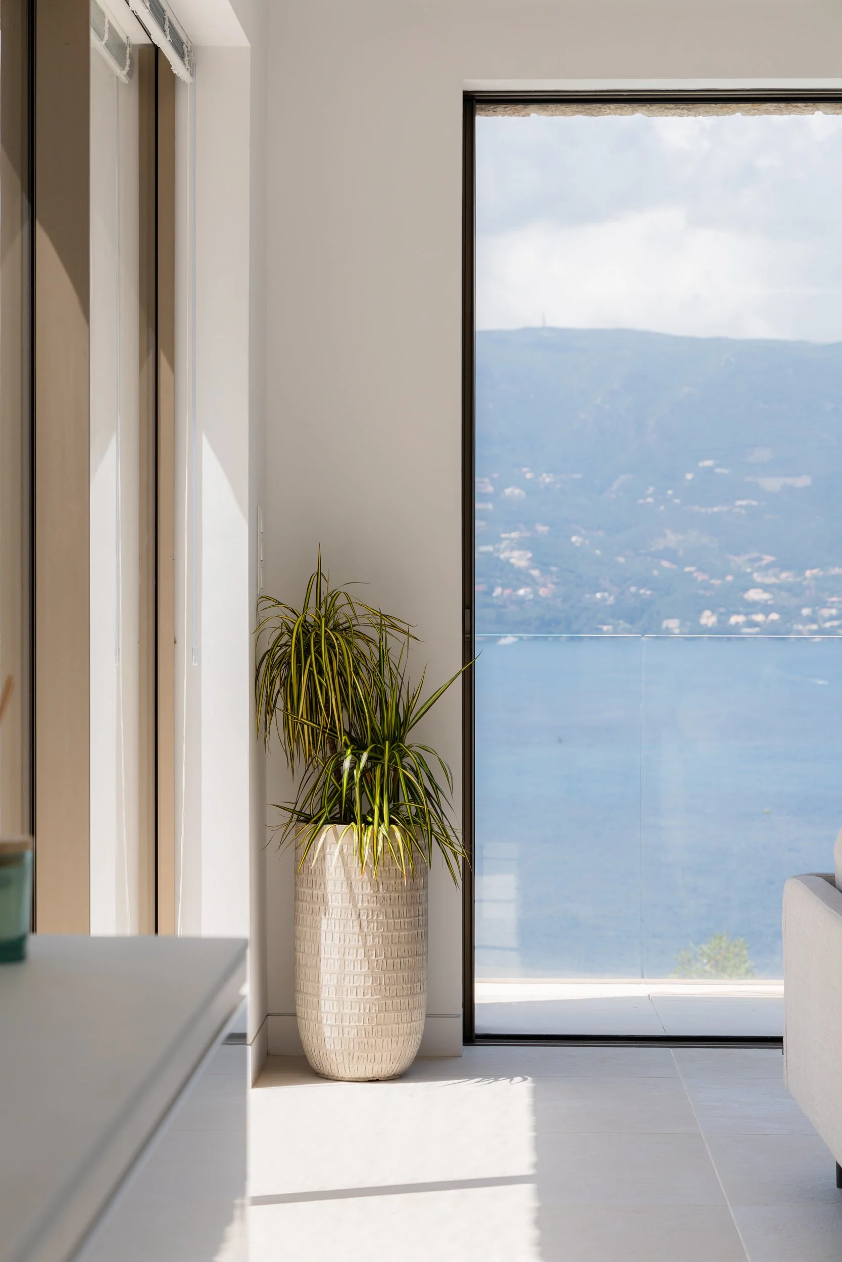 A potted plant near a large glass sliding door with a view of a body of water and mountains in the background.