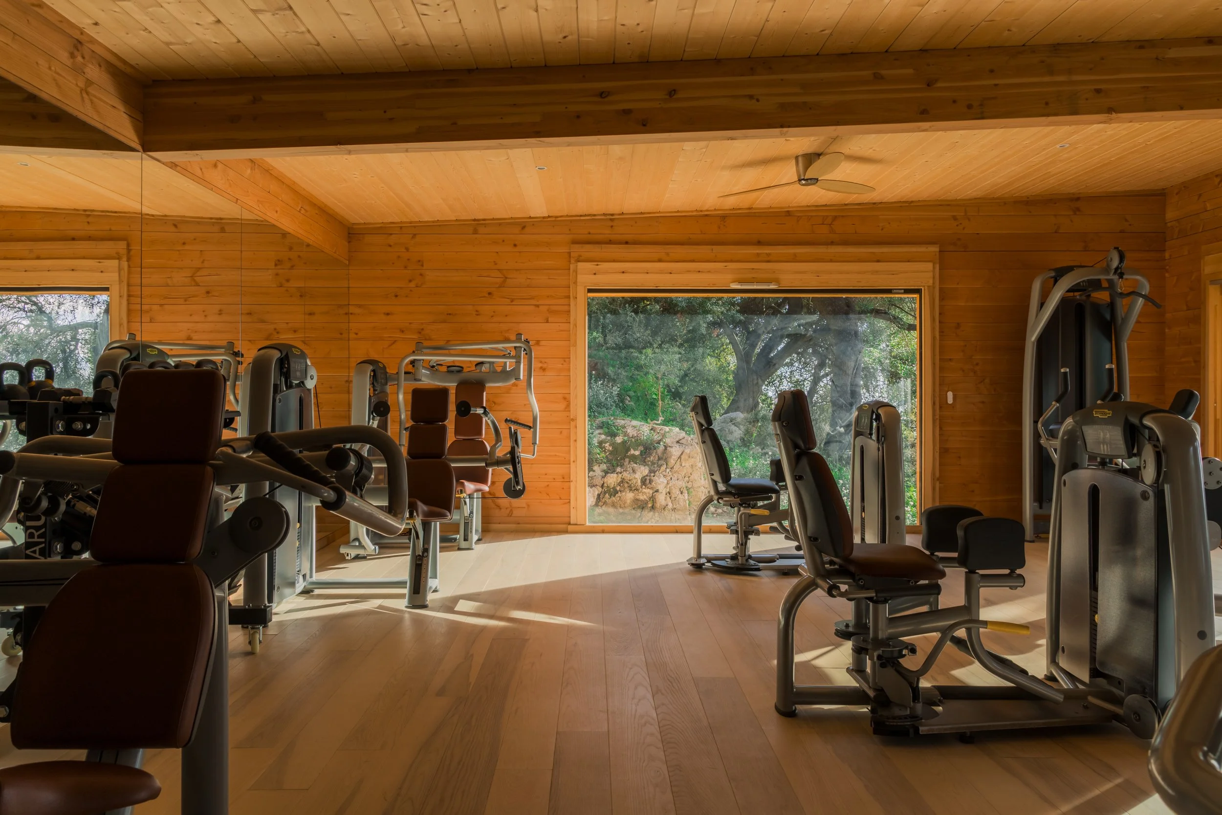 Indoor gym with various exercise equipment including strength machines, and a large window showing trees outside, all inside a wooden-paneled room with a ceiling fan.