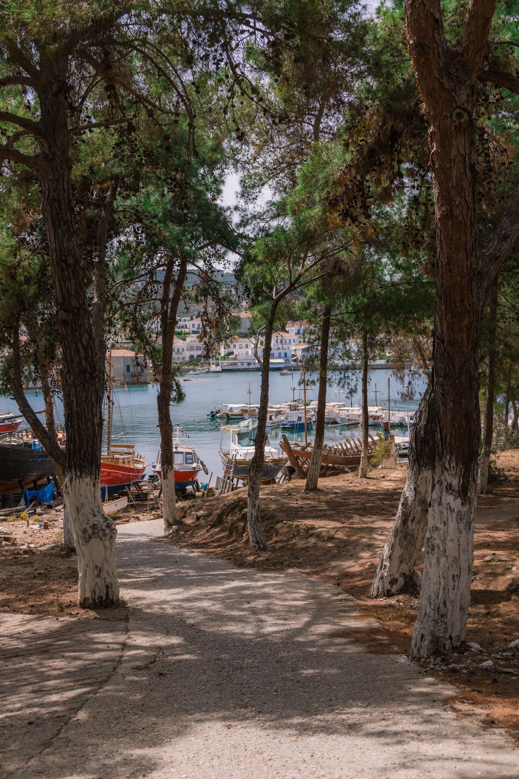 A path lined with trees leading to a harbor with boats docked, and a small town on the hillside in the background.
