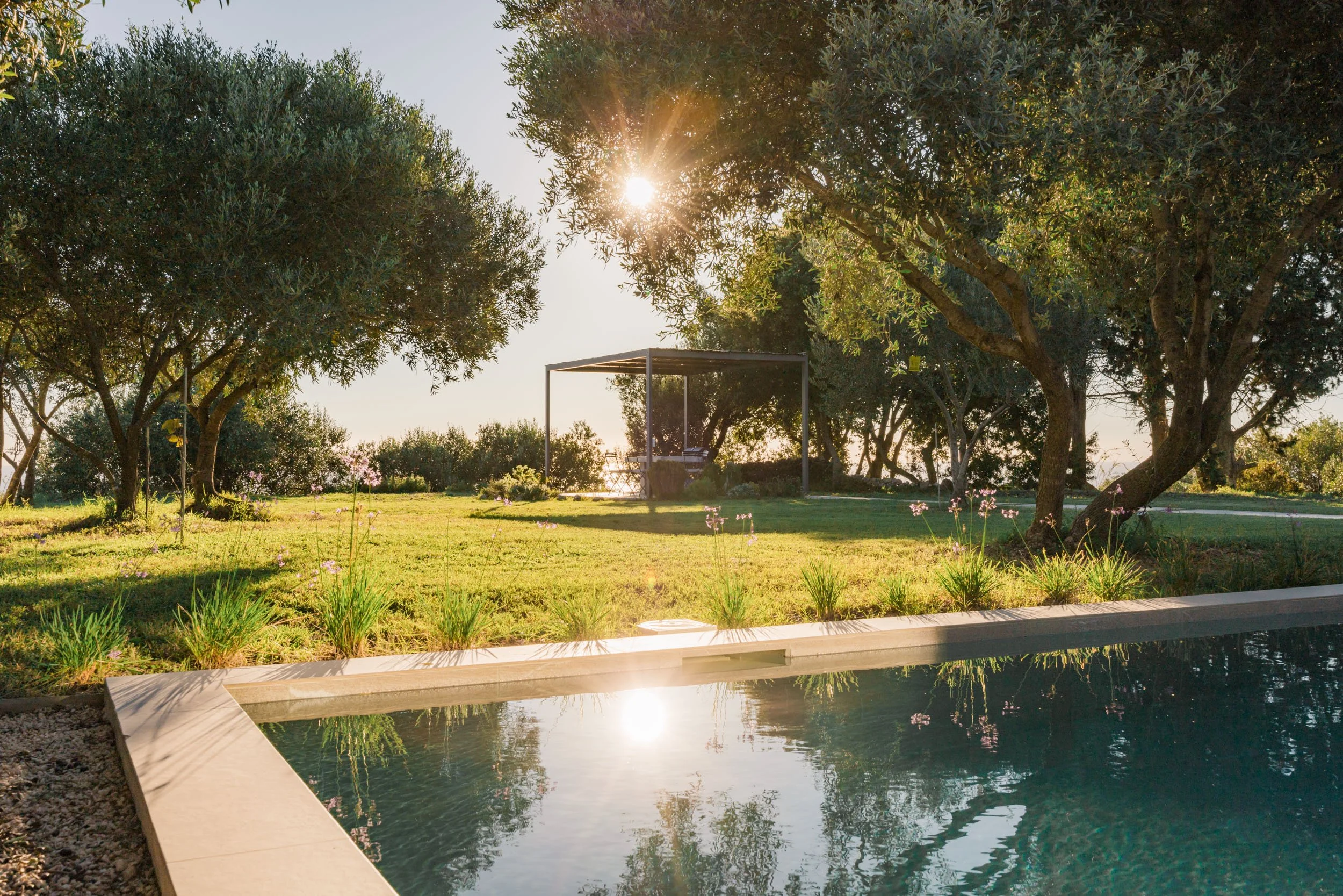 A backyard with a swimming pool, trees, a grassy lawn, and a sunlit sky.