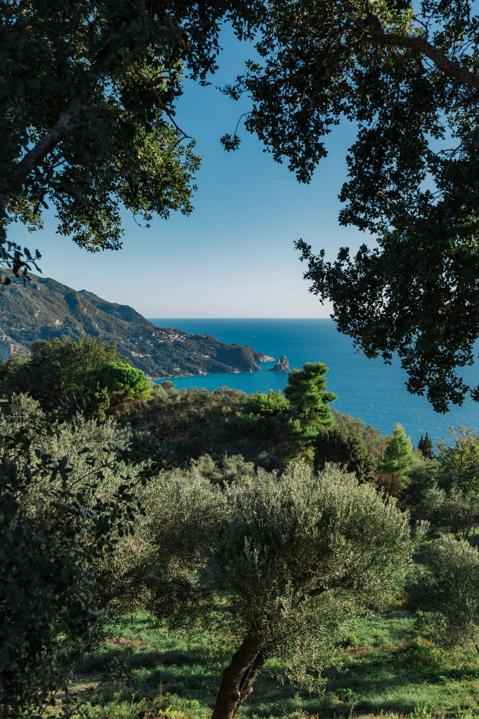 A scenic coastal landscape with green trees and bushes in the foreground, hilly terrain on the left, and the ocean in the background under a clear blue sky.