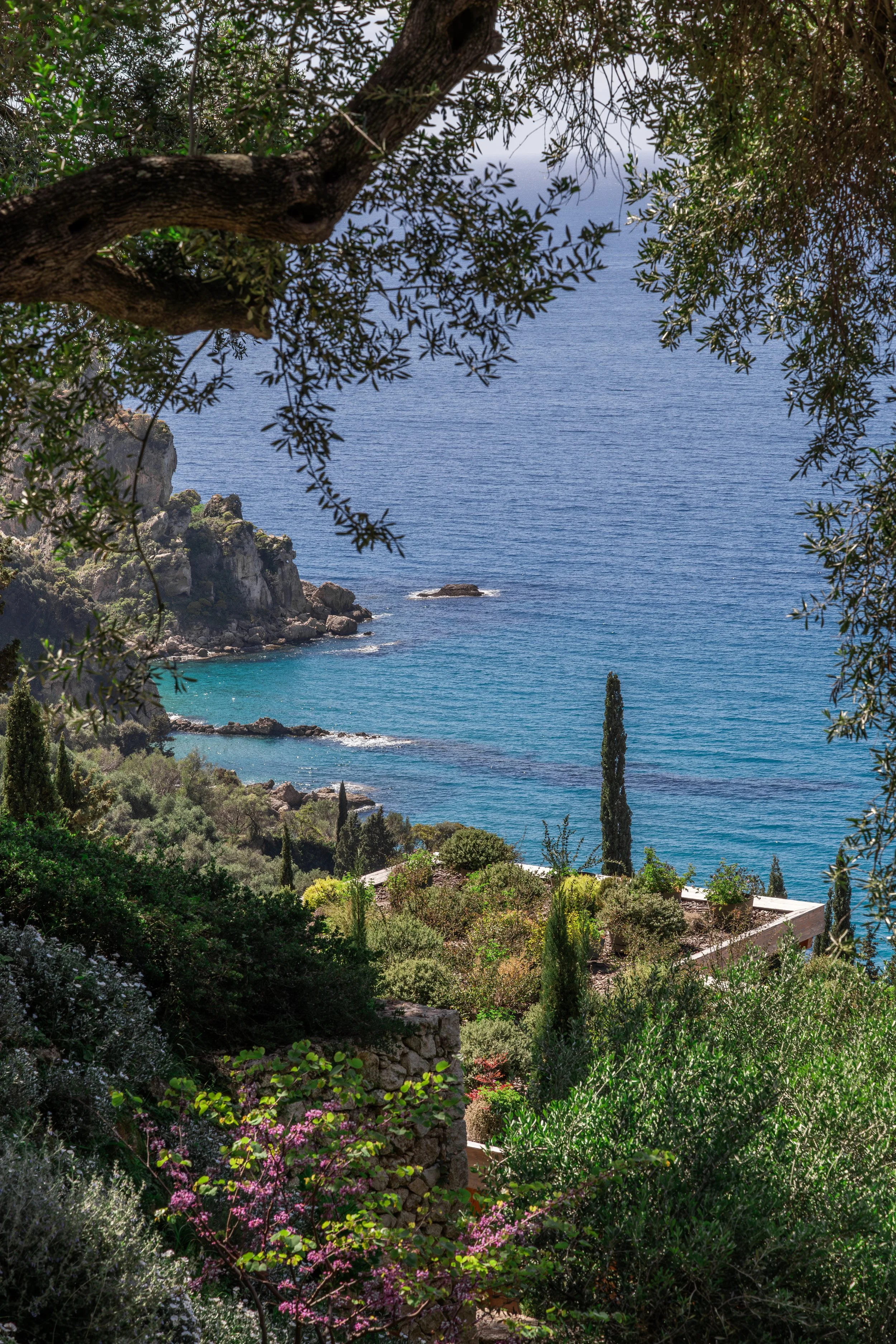 A scenic coastal landscape with a large tree branch and leaves framing the view of the ocean, rocky cliffs, a garden with tall cypress trees, and a building partially visible amidst lush greenery.
