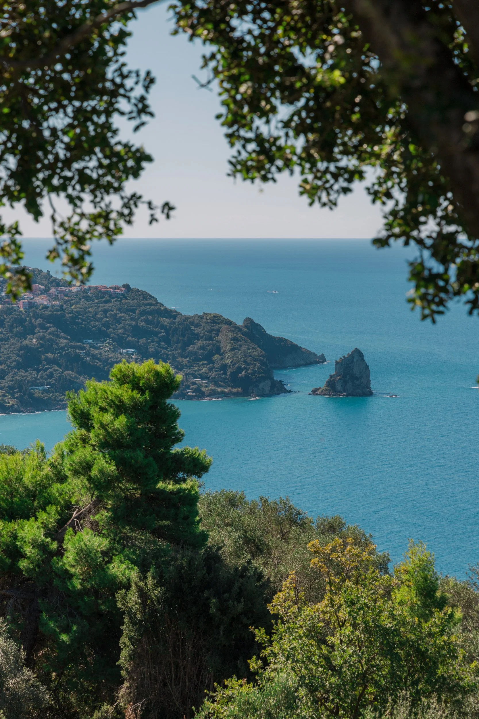 A view of a coastal landscape with green trees in the foreground, a rocky island in the ocean, and hillside homes in the distance, framed by tree branches.