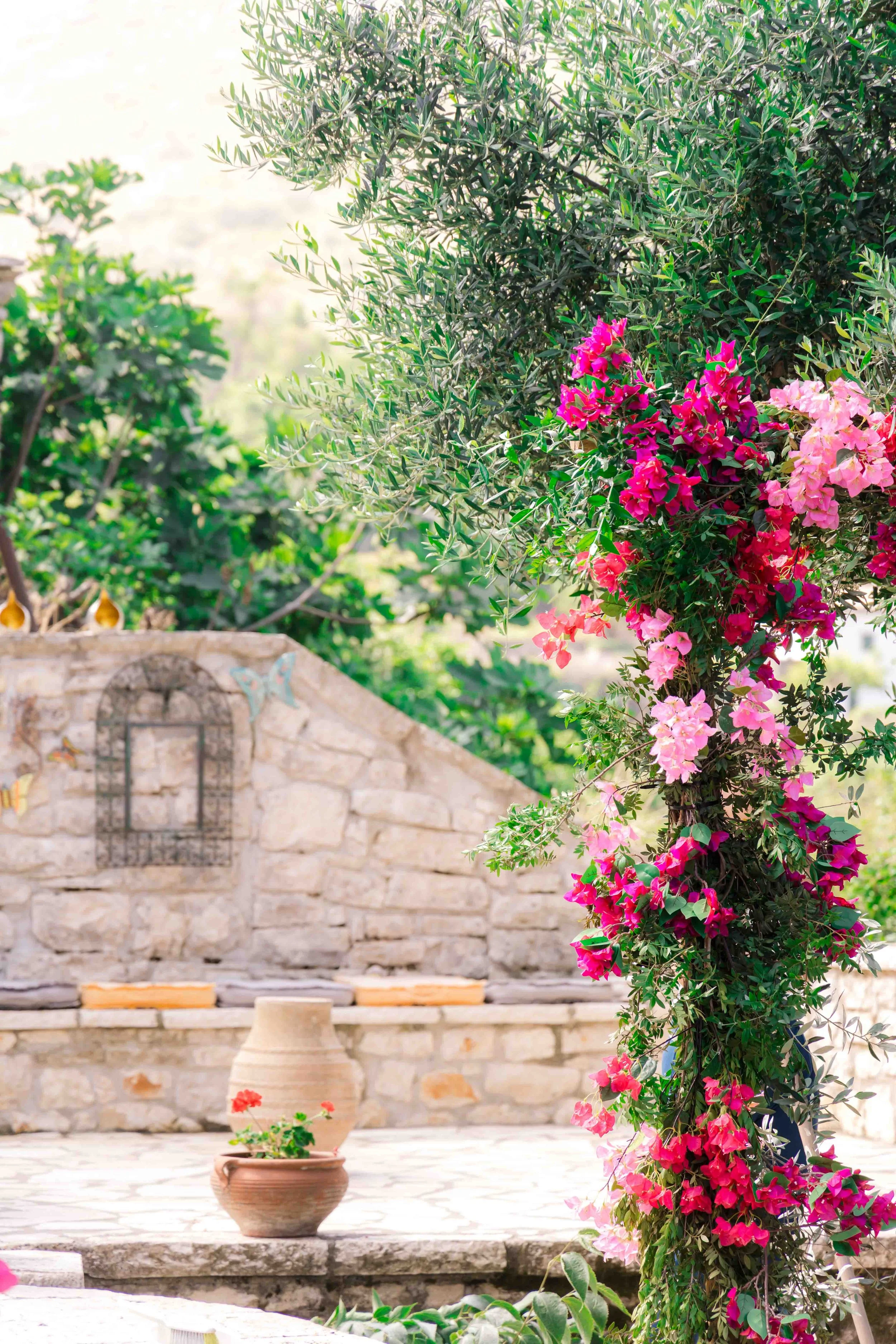 A garden scene with a flowering vine of pink and fuchsia bougainvillea climbing on a wooden trellis, a stone wall with decorative butterflies, and two potted plants on a stone patio.