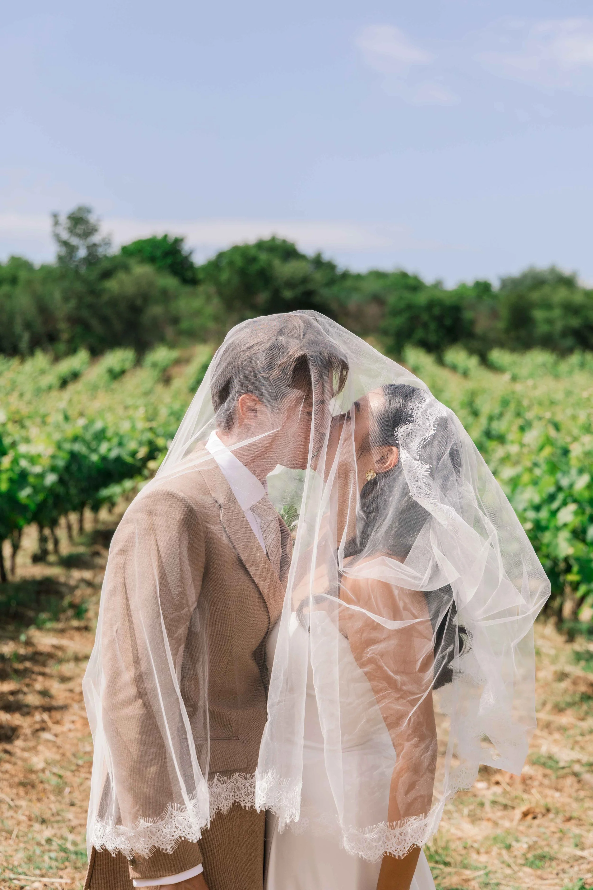 A bride and groom standing close together in a vineyard, sharing a kiss under the bride's veil.