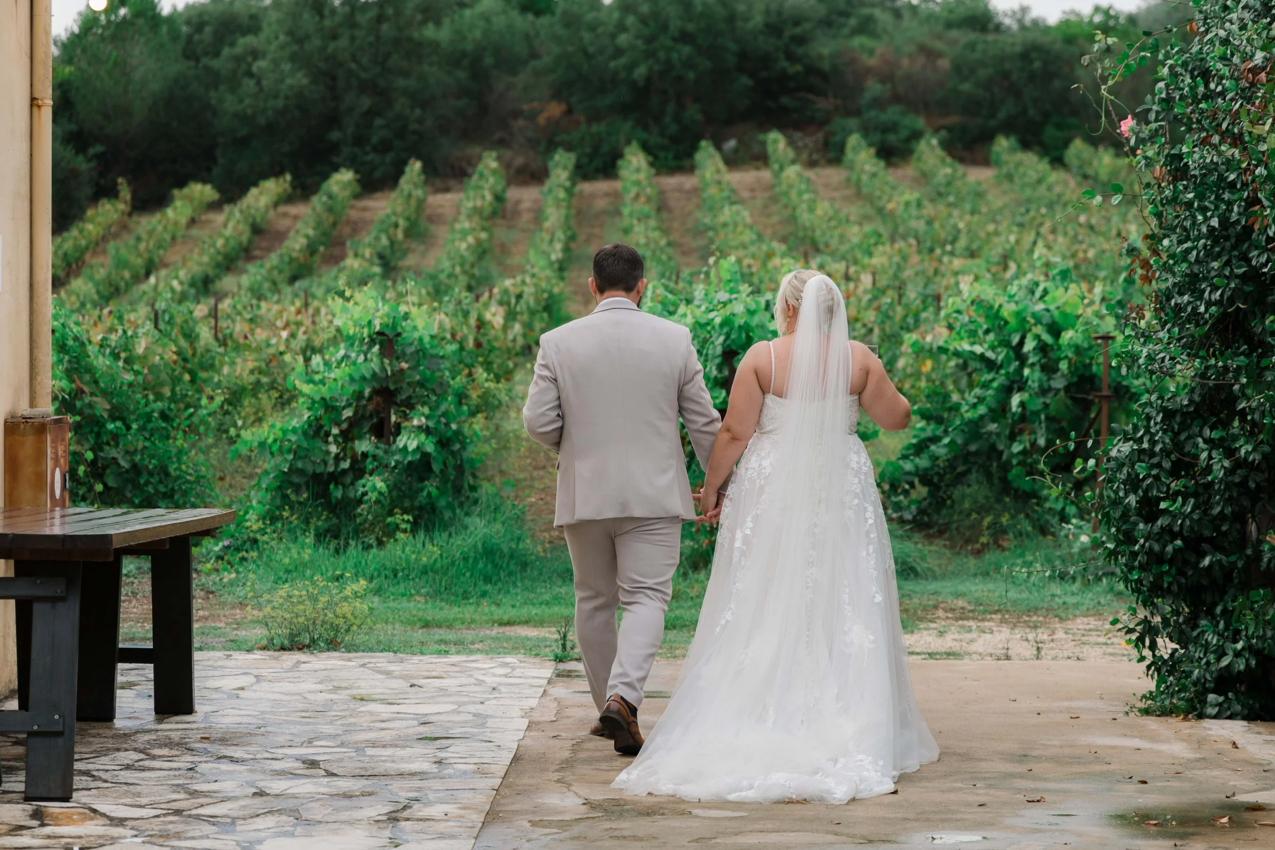 A bride and groom holding hands and walking through a vineyard.