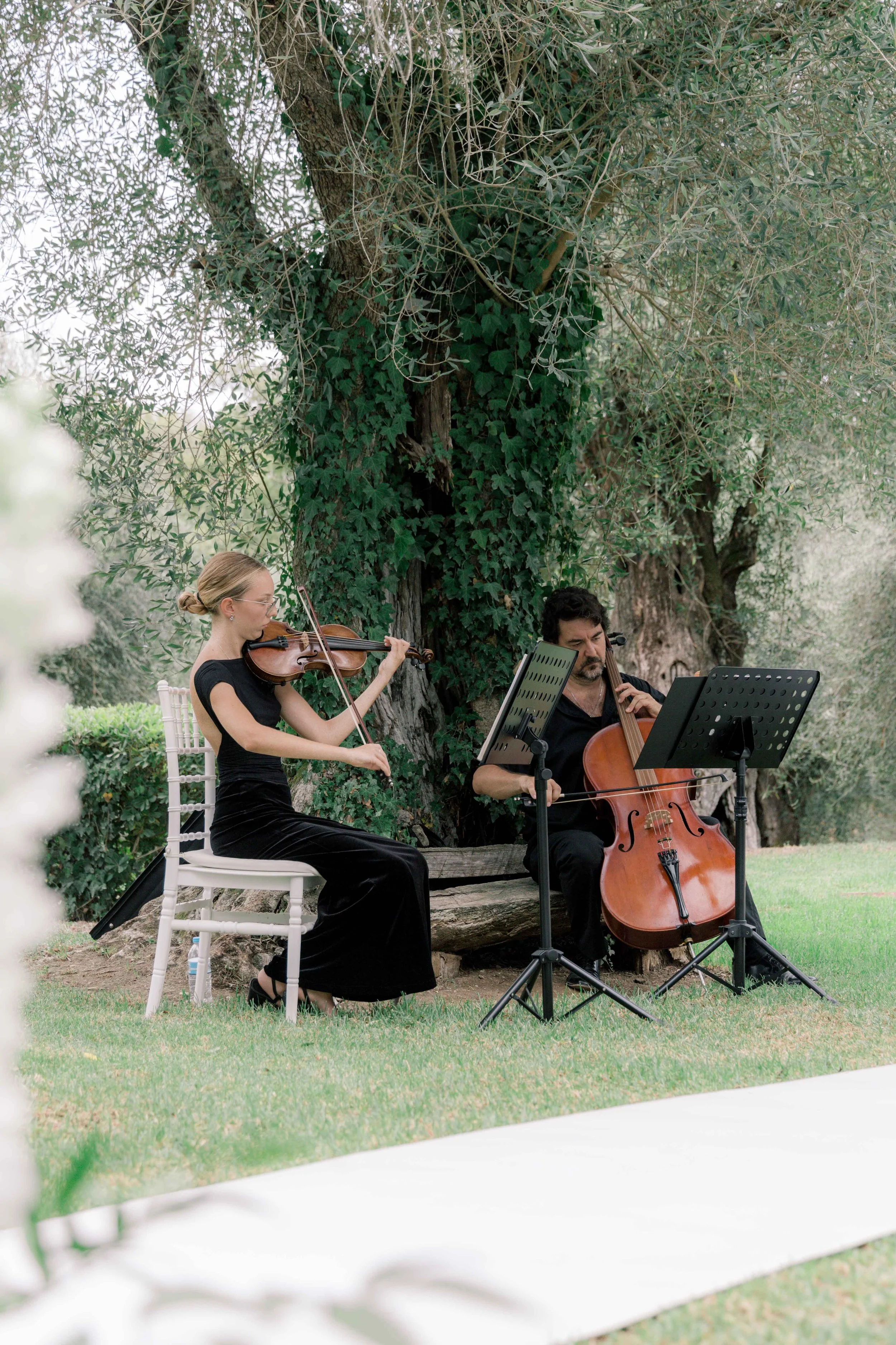 A man and a woman playing classical music outdoors beneath a large, leafy tree, with music stands and a bench.